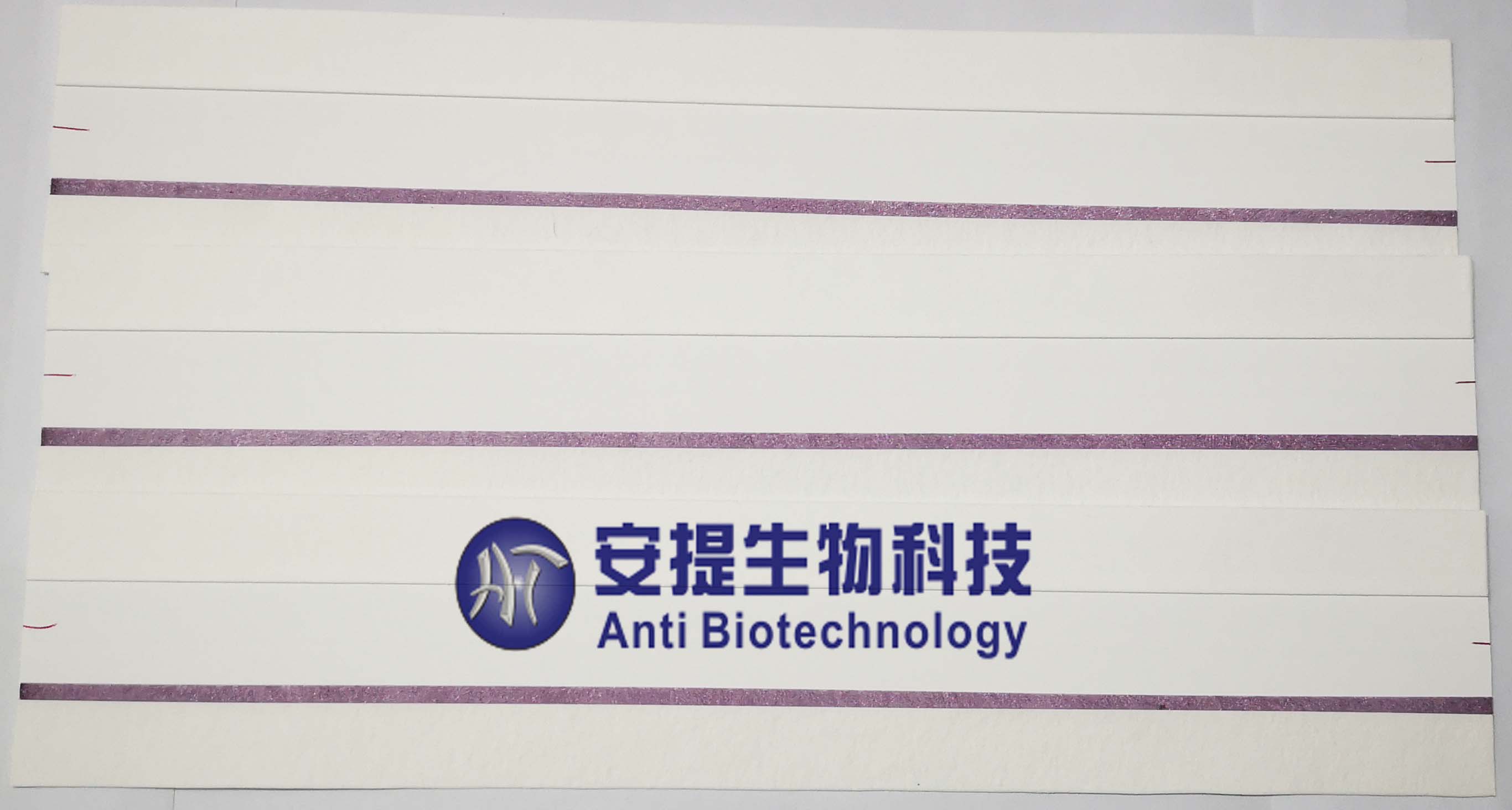 TOXO IgG IgM 犬猫弓形虫抗体检测卡 犬猫弓形虫抗体试纸 犬猫弓形虫抗体